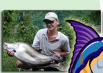 Knivbladfisk - Ferskvands fiskeri i Thailand.