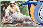 Grosser Siamesischer Karpfen - Swasserfischen in Bungsam Lan, Bangkok.