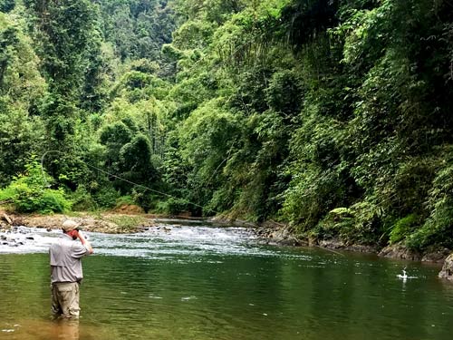 Jungle Fly-Fishing In Cheow Lan Lake