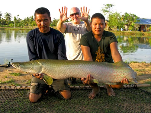 Number 10 Arapaima of a 13 fish Arapaima catch! .