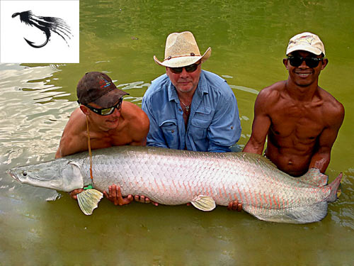 Another Arapaima on fly.