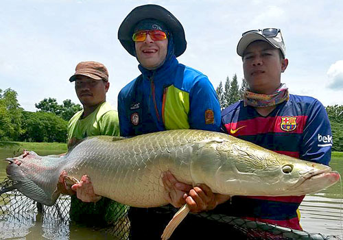 Arapaima from IT Monster Lake Thailand.