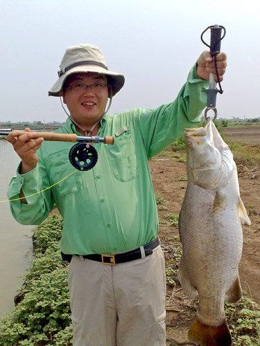 A nice Barramundi on Fly.