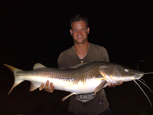 Catfish from Krabi.