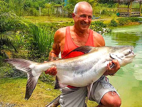 Cheow Phraya Catfish at Chalong Fishing Park.