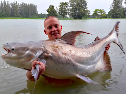 Huge Cheow Phraya Catfish from IT Monster Lake.