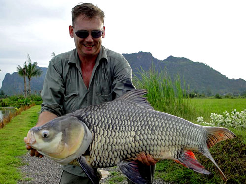 Giant Siamese Carp at Jurassic Fishing Park.