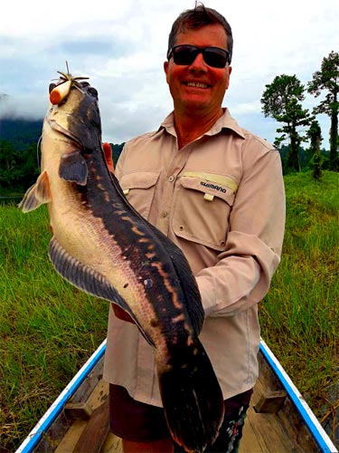 Giant Snakehead in the jungle.
