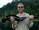 Giant Snakehead from jungle fishing.