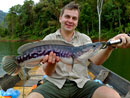 Giant Snakehead - Always hungry.