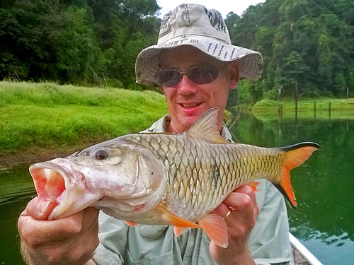 Hampala Barb Jungle fishing Thailand.