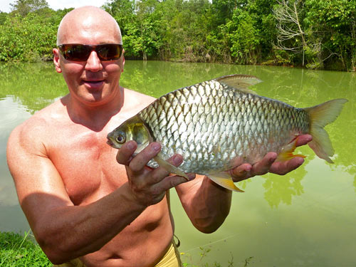 Tilapia caught at Phuket Fishing Park 2.