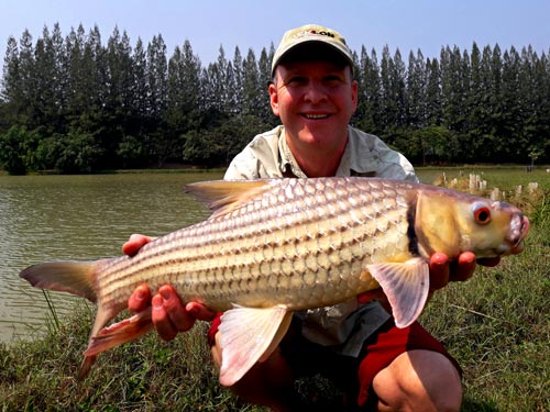 Juliens Golden Price Carp from Lake Monsters.