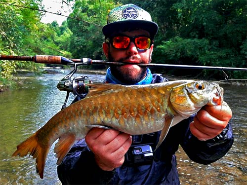 Mahseer from the jungle.