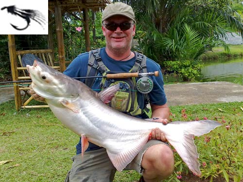 Giant Mekong Catfish caught on fly from Sawai Lake Phuket.