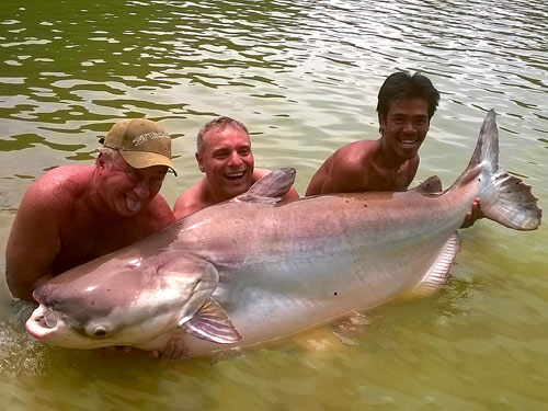 Giant Mekong Catfish from EFT.