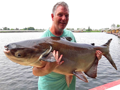 Giant Mekong Catfish from the New Bungsamran