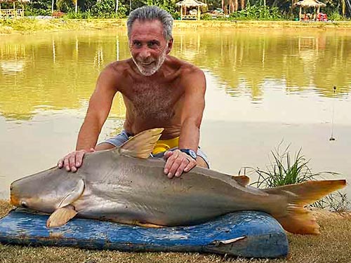 Giant Siamese Carp at Sawai Lake Phuket.