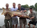 "The Lads" with a Giant Mekong Catfish.