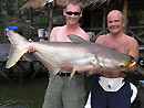 Giant Mekong Catfish from Bungsam Lan.
