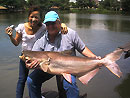 Girl and Mekong Catfish