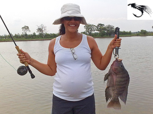 Large Tilapia can also be caught on fly at Boon Mar Ponds.