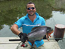 Red Bellied Pacu caught in Par Lai Lake.