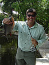 Landing a Red Bellied Pacu on fly in Phuket.