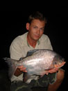 Red Bellied Pacu from Bangkok.