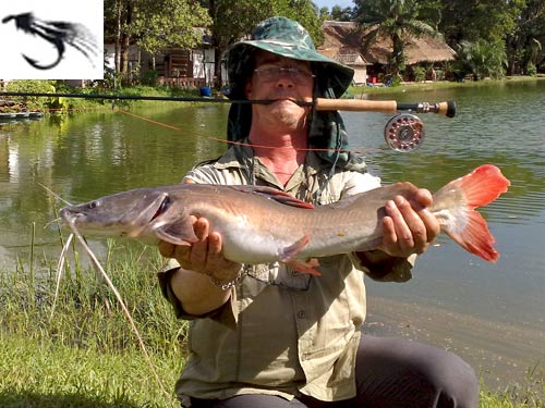 Asian Redtail Catfish on fly from Sawai Lake in Phuket.