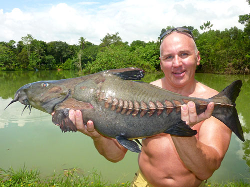 Nice Ripsaw Catfish from Bung Sawan.