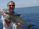 Amberjack from the Similan Islands.