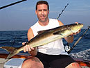 Cobia on a live-onboard trip.