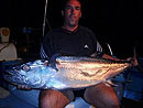 Dave Irving with a nice Dogtooth Tuna.