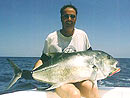 Giant Trevally from the Racha Islands.