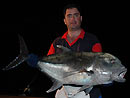 Giant Trevally from the Similan Islands.