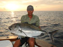 Giant Trevally from Similans.