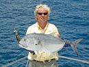 Giant Trevally from the Similans.