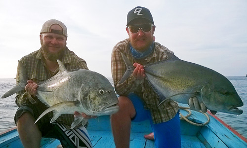 Giant and  Bluefin Trevally - Thailand.