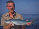 Rainbow Runner from the Similan Islands.