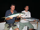 Rainbow Runner from the Andaman Islands.