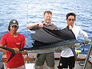 Sailfish caught on a belly strip.