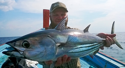 Skipjack Tuna from Khao Lak.