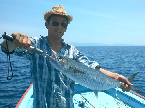 Spanish Mackerel caught jigging