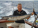 Wahoo from the Andaman Islands.