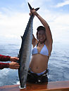 Wahoo from the Similan Islands.