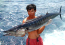Wahoo from The Andamans.