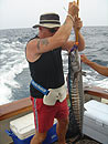 Wahoo from the Similan Islands.