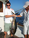 Andaman Island Yellowfin Tuna.