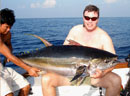 Huge Yellowfin Tuna from The Andaman Islands.